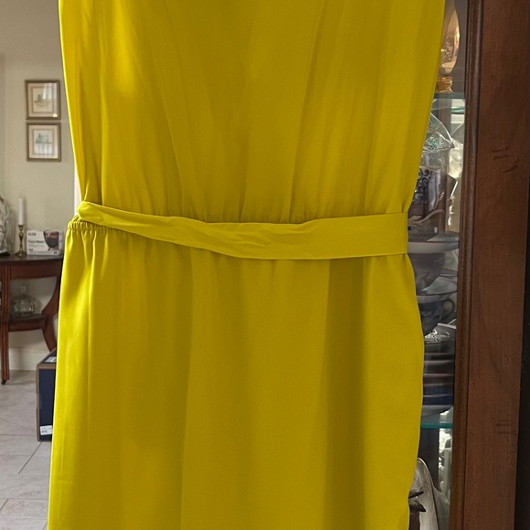 Yoana Baracshi Chartreuse  silk blend sheath dress size 10, fits more like 8. - Picture 13 of 13
